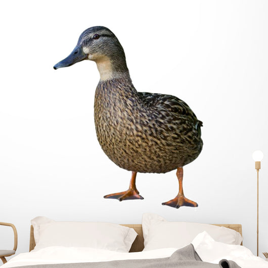 Wild Duck Female White Wall Decal