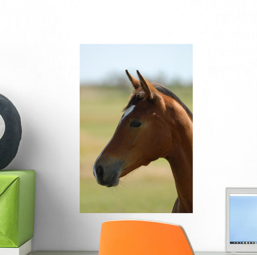 Foal Head Meadow Wall Decal