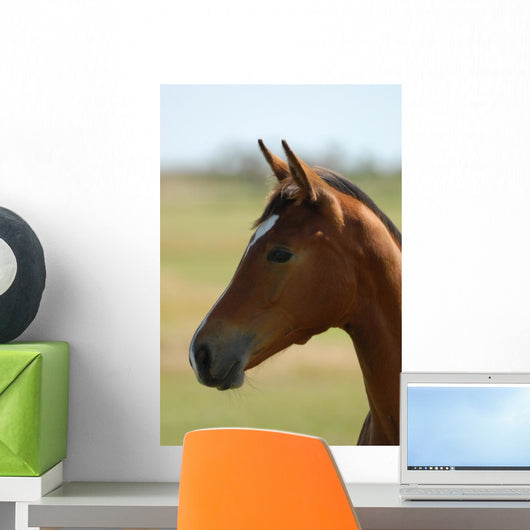 Foal Head Meadow Wall Decal