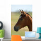 Foal Head Meadow Wall Decal