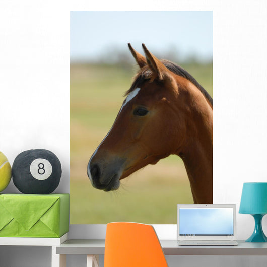 Foal Head Meadow Wall Decal