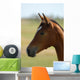 Foal Head Meadow Wall Decal