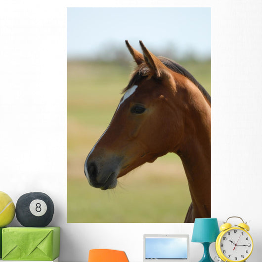 Foal Head Meadow Wall Decal