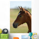 Foal Head Meadow Wall Decal