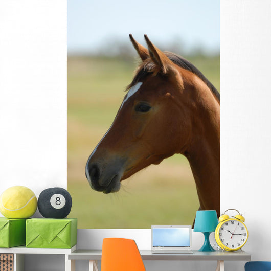Foal Head Meadow Wall Decal
