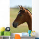 Foal Head Meadow Wall Decal
