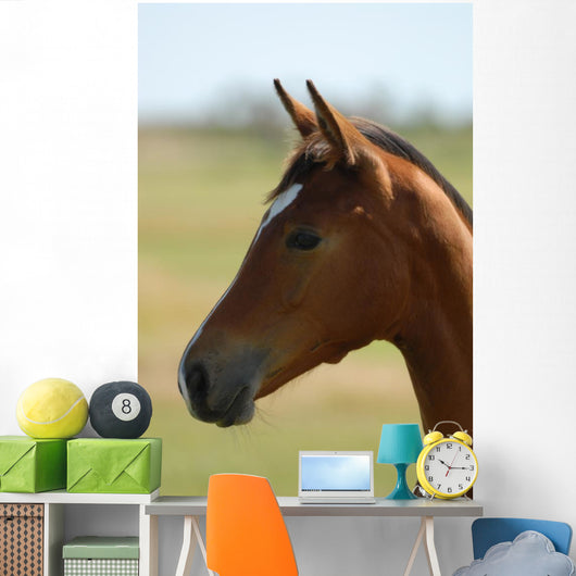 Foal Head Meadow Wall Decal