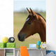 Foal Head Meadow Wall Decal