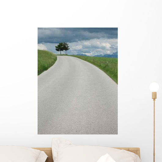 Strasse Mit Baumen Wall Decal