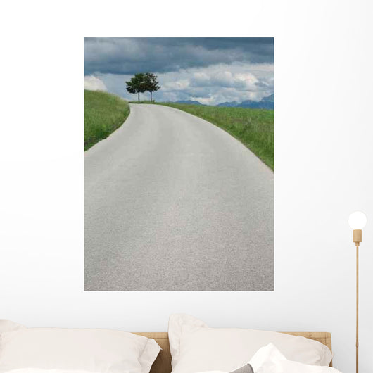 Strasse Mit Baumen Wall Decal