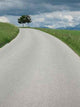 Strasse Mit Baumen Wall Decal