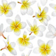 Tropical Flowers Seamless Pattern Wall Decal