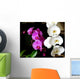 Orchides Parme Et Blanche Wall Decal