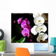 Orchides Parme Et Blanche Wall Decal