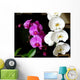 Orchides Parme Et Blanche Wall Decal