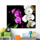 Orchides Parme Et Blanche Wall Decal