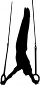 Gymnast Rings Wall Decal