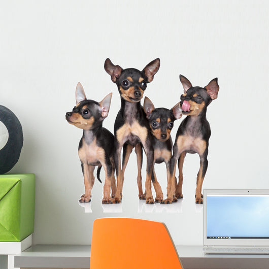 Russian Toy-Terriers Dogs Group Wall Decal