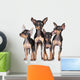 Russian Toy-Terriers Dogs Group Wall Decal