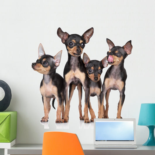 Russian Toy-Terriers Dogs Group Wall Decal