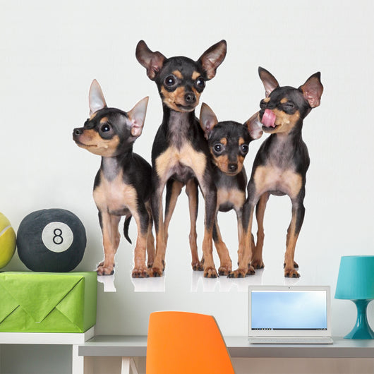 Russian Toy-Terriers Dogs Group Wall Decal