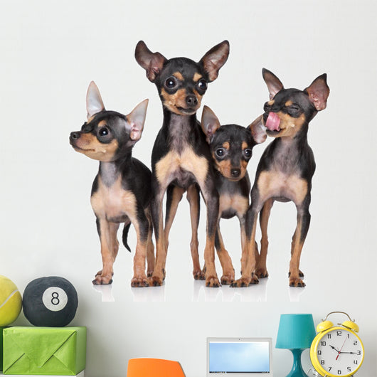 Russian Toy-Terriers Dogs Group Wall Decal