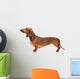 Dachshund Dog Over White Wall Decal