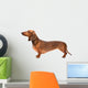 Dachshund Dog Over White Wall Decal