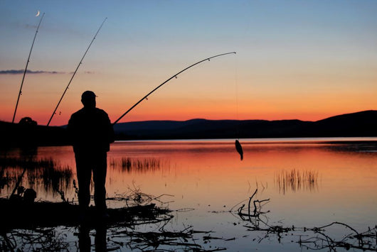 Fishing Wall Decal