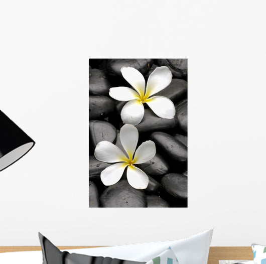 Two Frangipani Flowers And Stones Wall Decal