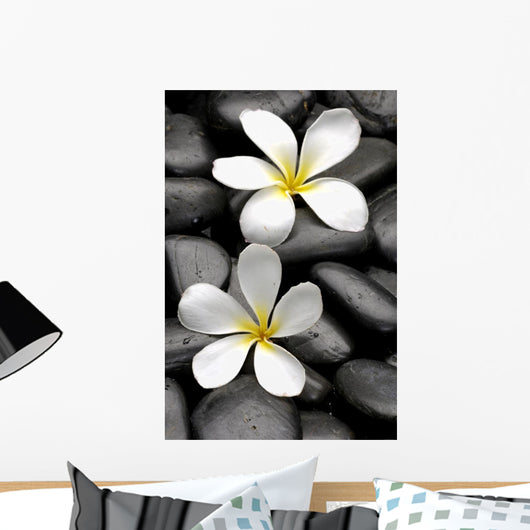Two Frangipani Flowers And Stones Wall Decal