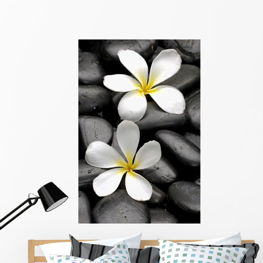 Two Frangipani Flowers And Stones Wall Decal