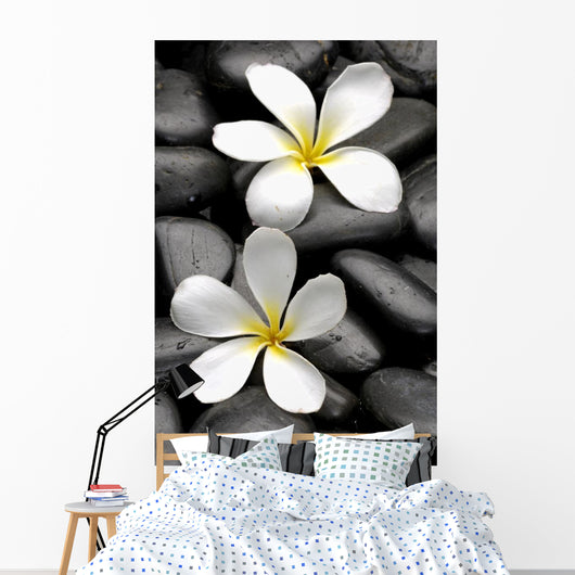 Two Frangipani Flowers And Stones Wall Decal