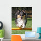 Agility Sheltie Dog Wall Decal