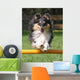 Agility Sheltie Dog Wall Decal