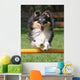 Agility Sheltie Dog Wall Decal