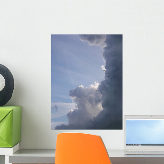 Flock Birds Flight Against Wall Decal