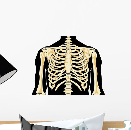 Human Chest Wall Decal