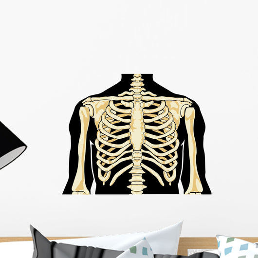 Human Chest Wall Decal