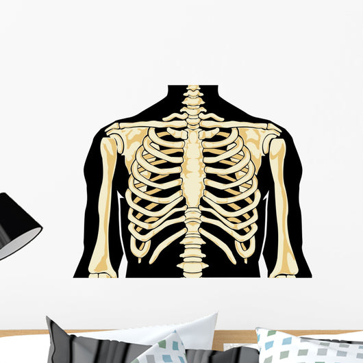 Human Chest Wall Decal