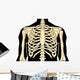 Human Chest Wall Decal