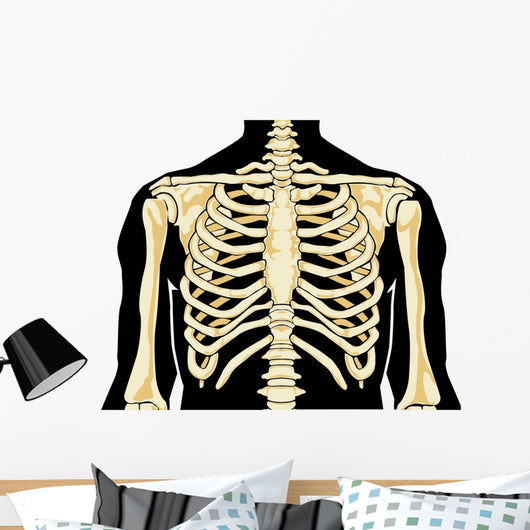 Human Chest Wall Decal