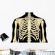 Human Chest Wall Decal
