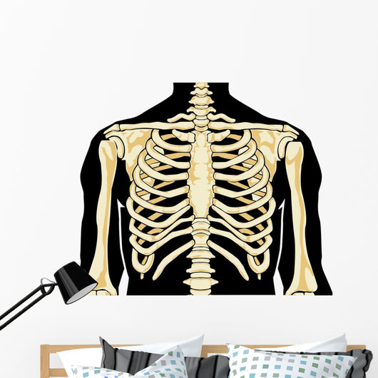 Human Chest Wall Decal