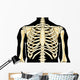 Human Chest Wall Decal