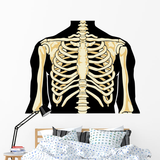 Human Chest Wall Decal