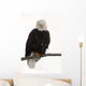 Bald Eagle Wall Decal