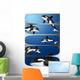 Orcas Banners Wall Decal