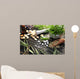 Alternative Medicine Wall Decal