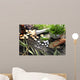Alternative Medicine Wall Decal